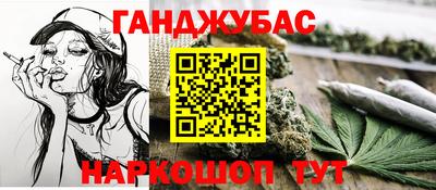 дмт Новодвинск